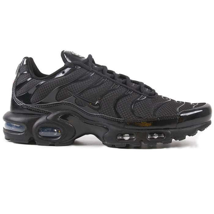 Кроссовки Nike Air Max Plus 604133-050