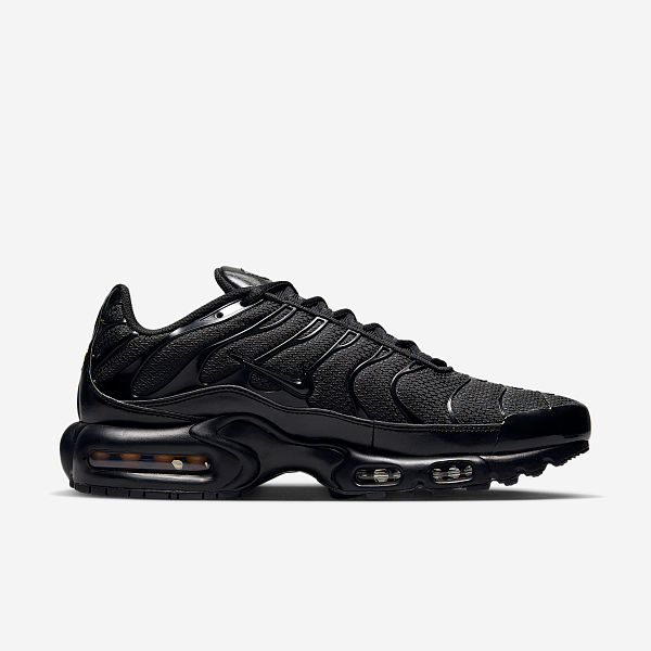 Кроссовки Nike Air Max Plus 604133-050